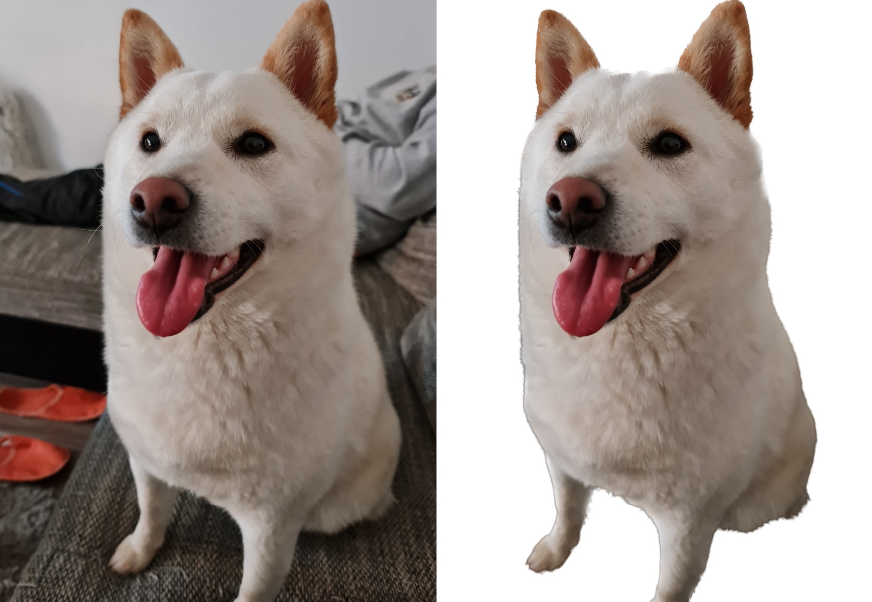 H&aacute;tt&eacute;r elt&aacute;vol&iacute;t&aacute;s macOS Ventura